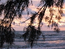 IMG_4703.JPG