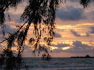 IMG_4704.JPG