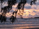 IMG_4705.JPG