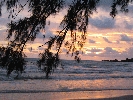 IMG_4706.JPG