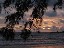 IMG_4707.JPG