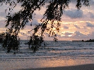 IMG_4708.JPG