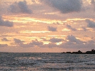 IMG_4711.JPG