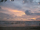 IMG_4742.JPG