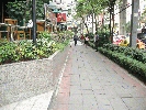 IMG_5063.JPG