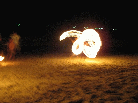 IMG_5177.JPG