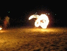 IMG_5177.JPG