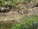 IMG_5115.JPG