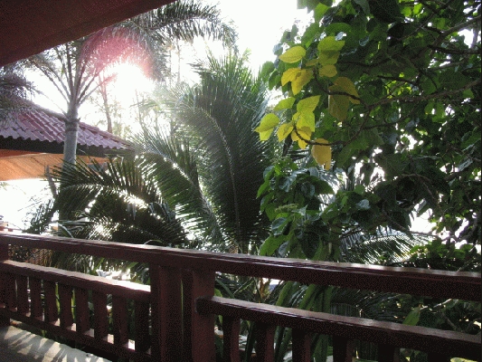 IMG_5083.JPG