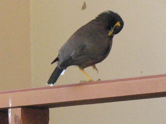 IMG_5104.JPG