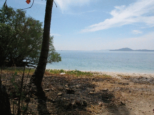 IMG_5200.JPG
