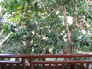 IMG_5070.JPG