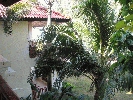 IMG_5072.JPG
