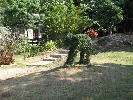 IMG_5080.JPG