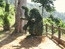 IMG_5081.JPG