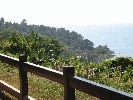 IMG_5082.JPG