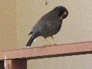 IMG_5104.JPG
