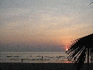 IMG_5148.JPG