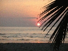 IMG_5151.JPG
