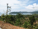 IMG_5194.JPG