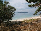 IMG_5197.JPG