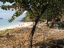 IMG_5198.JPG