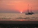 IMG_5214.JPG
