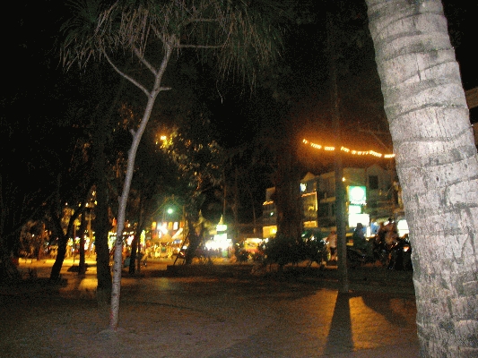 IMG_5242.JPG