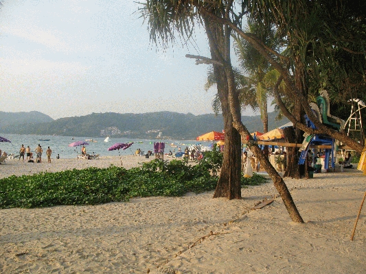 IMG_5245.JPG