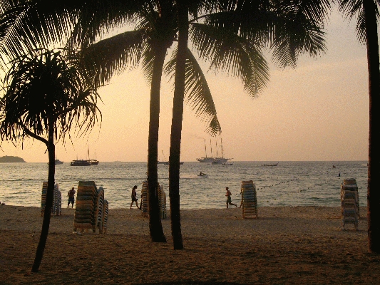 IMG_5259.JPG