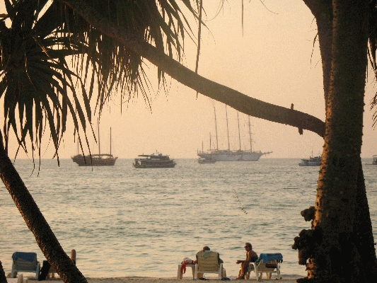 IMG_5281.JPG