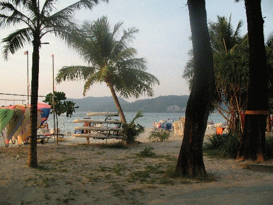 IMG_5285.JPG