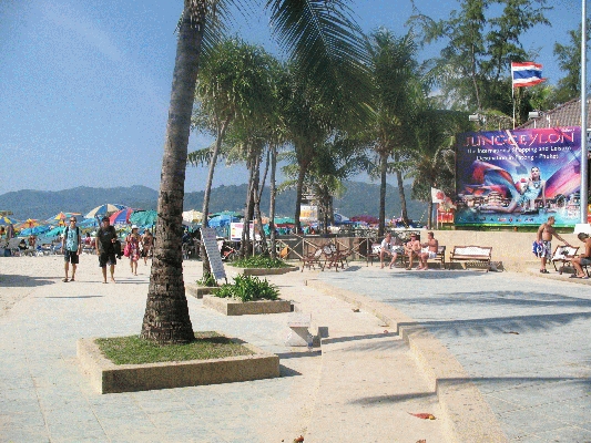 IMG_5333.JPG