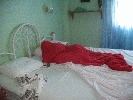 IMG_5231.JPG