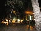 IMG_5242.JPG