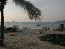 IMG_5249.JPG