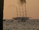 IMG_5258.JPG