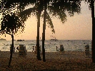 IMG_5259.JPG