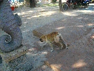 IMG_5341.JPG