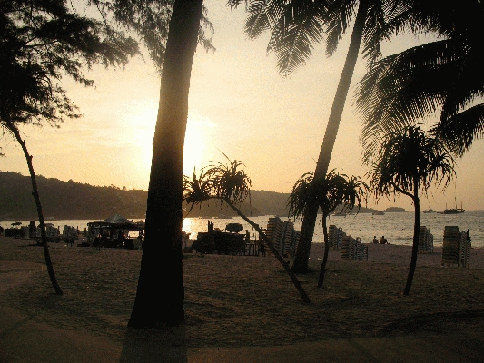 IMG_5253.JPG