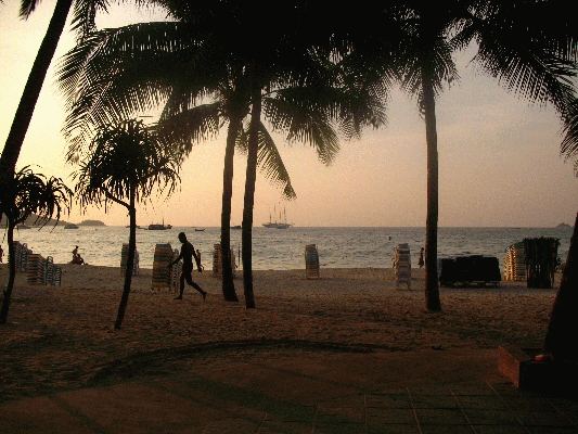 IMG_5255.JPG