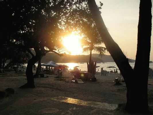 IMG_5266.JPG