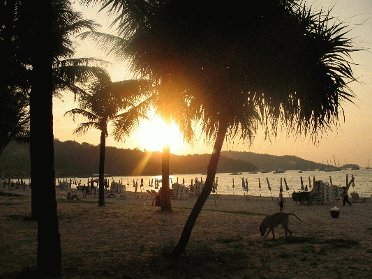 IMG_5279.JPG