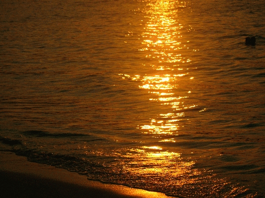 IMG_5303.JPG