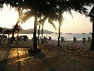 IMG_5252.JPG