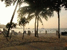 IMG_5254.JPG