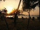 IMG_5262.JPG