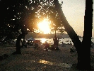 IMG_5266.JPG