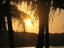 IMG_5276.JPG