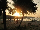 IMG_5279.JPG